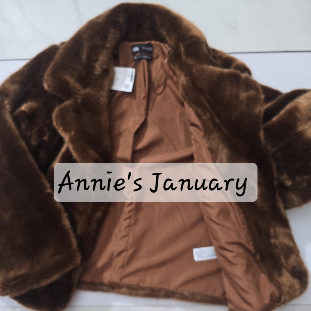 ZARA Faux Fur Coat:Brick, US  L - Picture 9 of 10